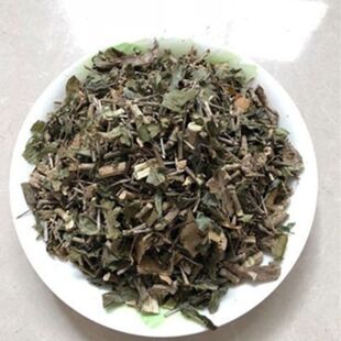 六月雪草药草药材材六月雪山区白马骨100g500g包邮满天星路边姜天