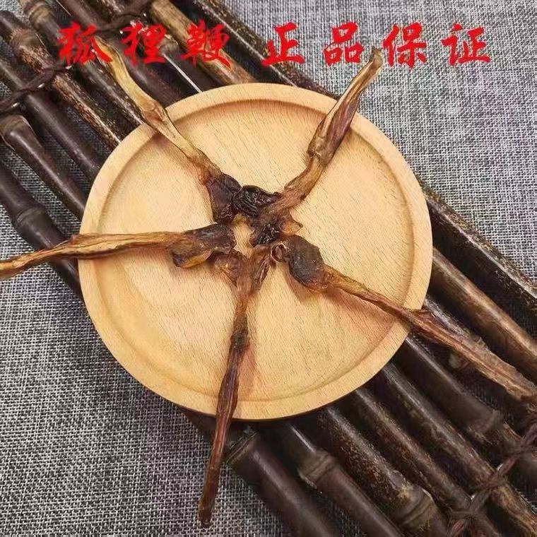狐狸鞭5条中草材泡酒料食用农产品滋补另售牛鞭驴鞭貂鞭蛇鞭干货