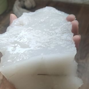 土太岁30g纯天然山区水太岁肉灵芝太岁真品特柔软介意勿拍