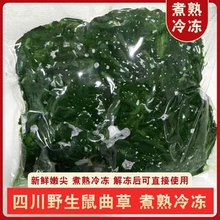 鼠曲草冷冻青团艾草棉菜清明菜软切草田艾叶野清明果原料嫩佛耳草