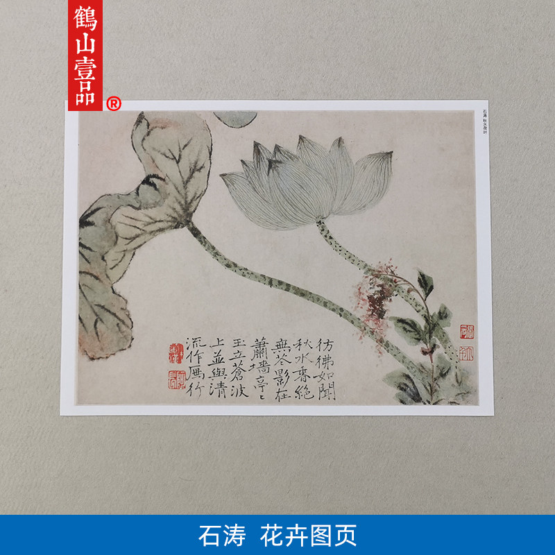 高清复制石涛写意花卉图页9帧