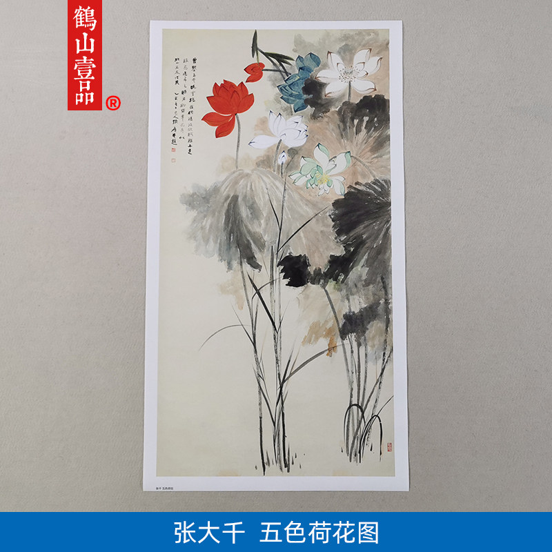 张大千五色荷花图工笔花鸟画