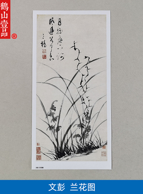 1:1文彭兰花图真迹国画艺术微喷古代名画复制品临摹装饰31*65cm
