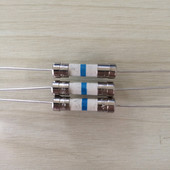 蓝 BUSS进口 5x20mm 铜脚 慢熔断 陶瓷色环保险丝 T6.3AH250V