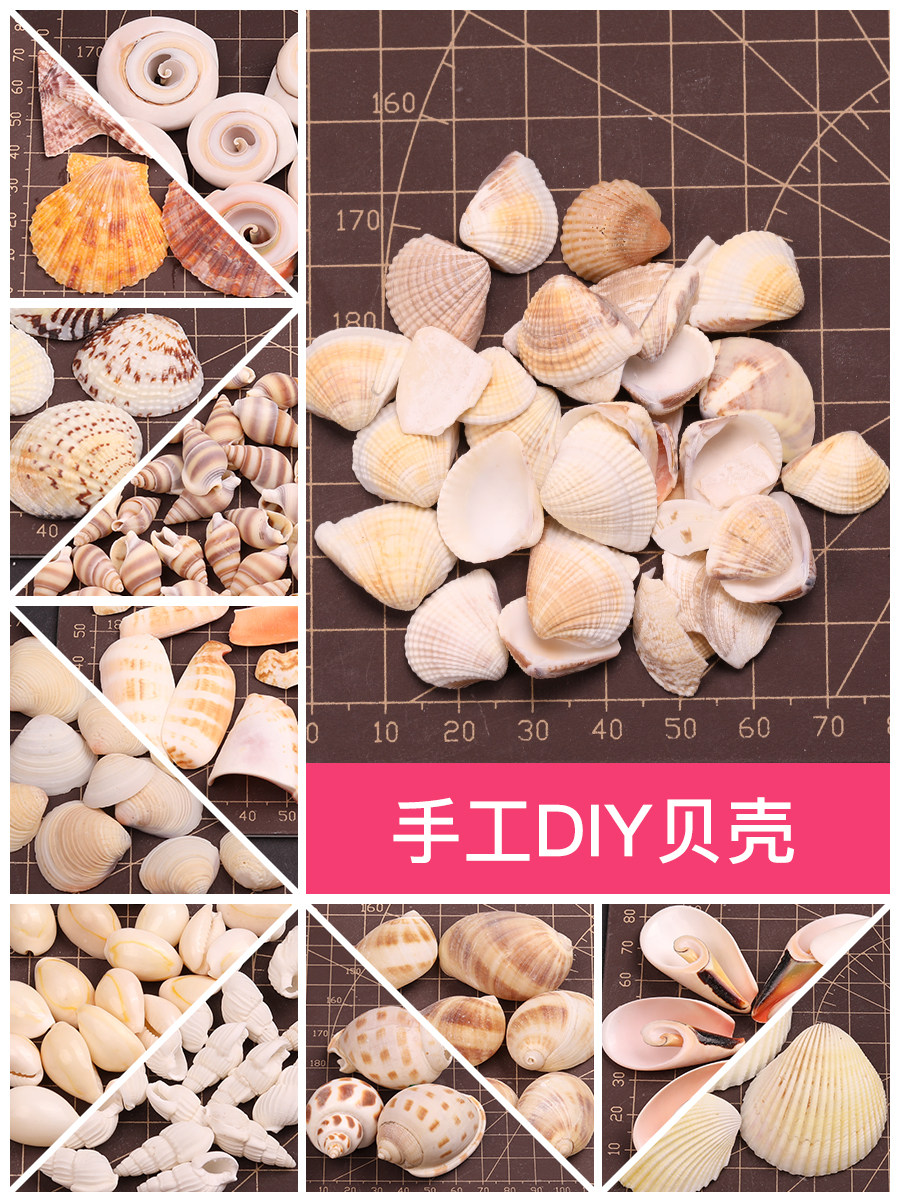 天然贝壳海螺手工diy装饰品摆件漂流瓶材料地中海风格海洋创意