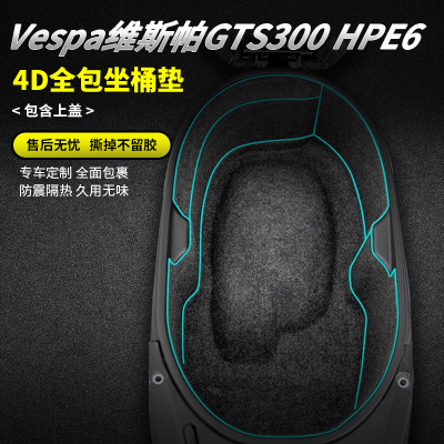 Vespa维斯帕GTS300改装座桶垫