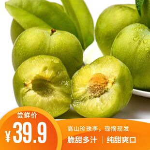 鲜薇新品四川李子珍珠李小李子脆李脱骨李青脆李高档新鲜水果整箱