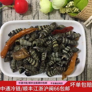 热卖福建特色小吃福鼎当地风味 泥螺炒石螺 即食下酒休闲伴侣500g
