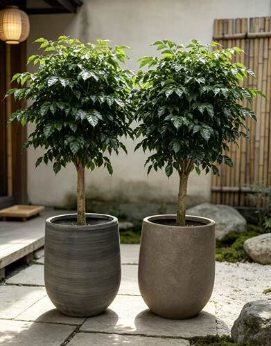 镁泥花盆高级侘寂风圆形大口径