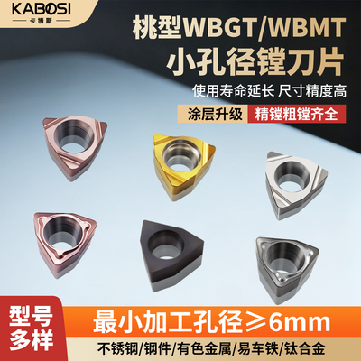 卡博斯WBGT精加工不锈钢镗孔专用