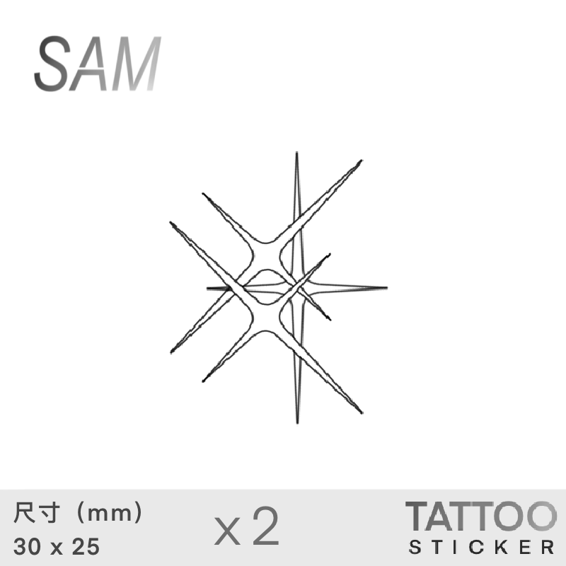 SAM亮晶晶草本极简星星纹身贴