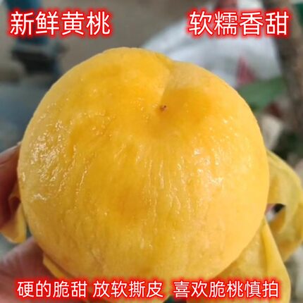 黄桃新鲜水果陕西黄金蜜黄桃当季应季孕妇水果整箱4斤包邮黄桃