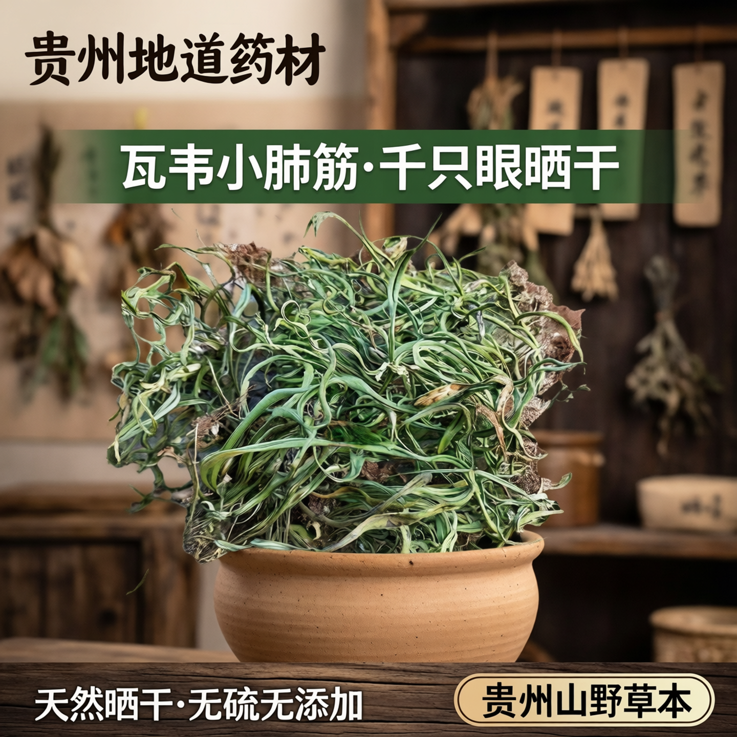 贵州草草药瓦韦小肺筋中药材大金刀小叶骨牌草千只眼晒干嗷嗷叫草