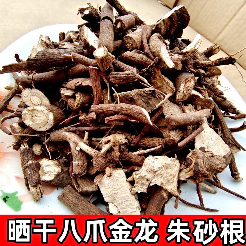 中药材正品朱砂根八爪金龙纯根