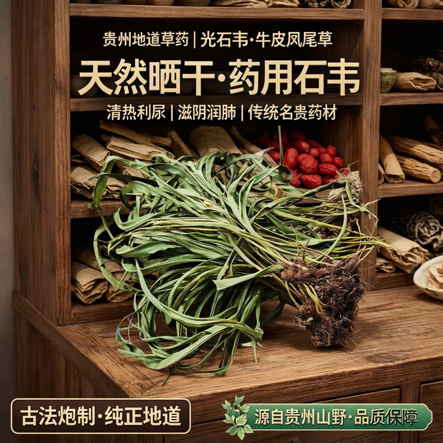 光石韦牛皮草岩莲鸡尾一包针贵州
