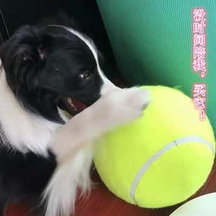 狗狗玩具球自嗨解闷神器边牧消耗体力十倍快乐球超大网球宠物用品