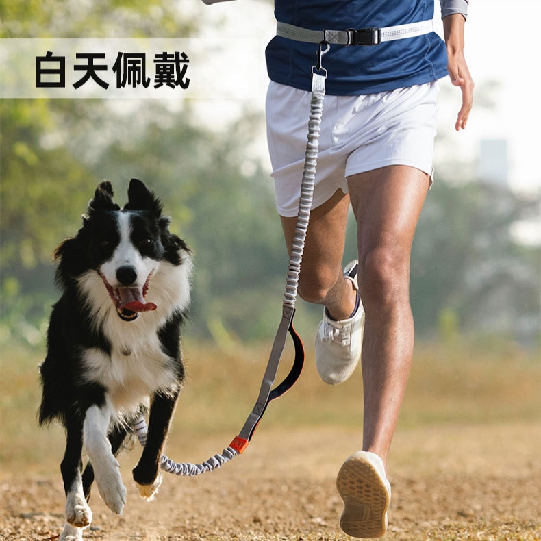 宠物狗狗跑步牵引绳遛狗跑步绳户外遛狗装备牵狗绳散步遛狗神器