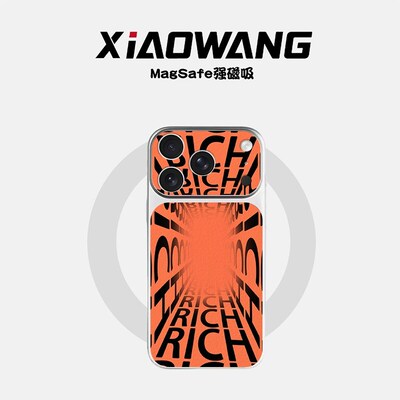 RICH视觉磁吸适用苹果17P