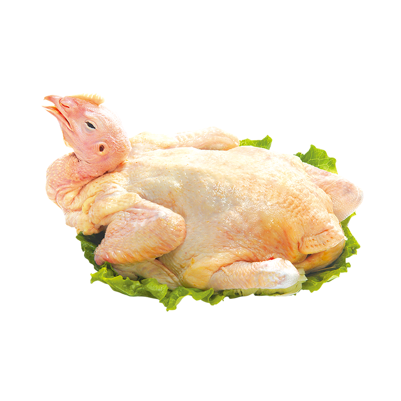 冻三黄鸡790-850g/只鸡肉脆骨食品食物烟熏肉质嫩滑_虎窝淘