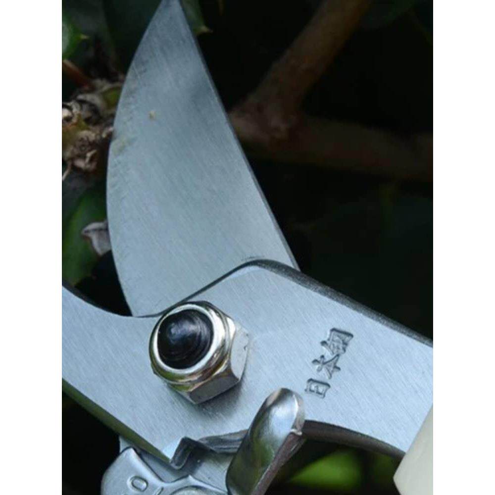 台湾佐川吉130修枝剪剪枝剪1果树园艺剪刀进口整枝剪花枝剪粗枝剪