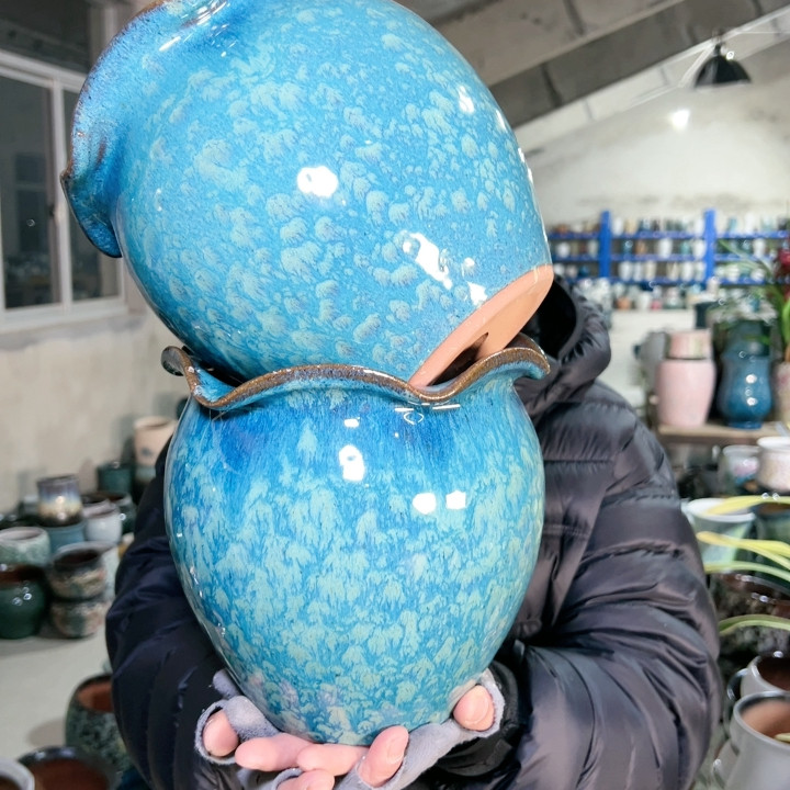 口19高19,鲜花速递/花卉仿真/绿植园艺,花盆,淘宝优惠券,粉丝福利购,淘宝优惠卷