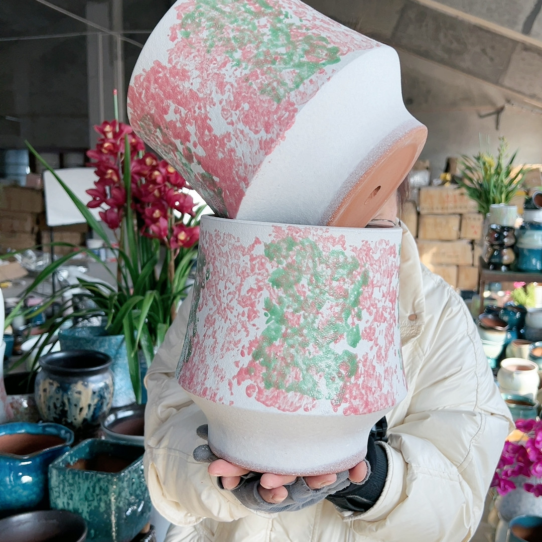 高21口18,鲜花速递/花卉仿真/绿植园艺,花盆,淘宝优惠券,粉丝福利购,淘宝优惠卷