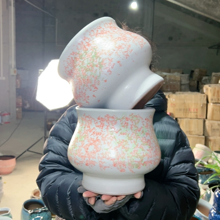 高20口19,鲜花速递/花卉仿真/绿植园艺,花盆,淘宝优惠券,粉丝福利购,淘宝优惠卷