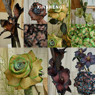 芯苼物语 花店专用鲜花花束无汞环保吸色剂花艺资材 鲜花染色剂