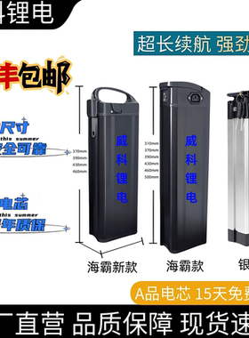 代驾车电瓶外卖车折叠电动车48v20a银鱼款锂电池大容量30ah海霸款