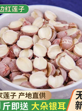 湖南特级无硫去芯红莲子新货