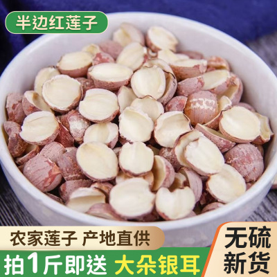 湖南特级无硫去芯红莲子新货
