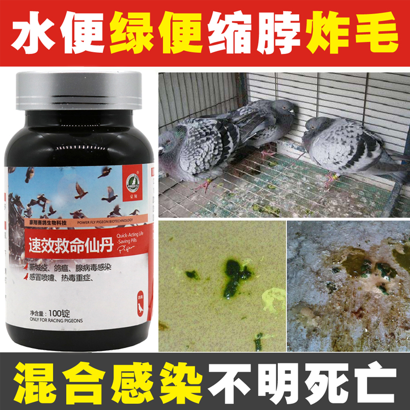 豪翔鸽药信鸽子药品大全救命仙丹拉稀水绿便常见病赛鸽用药新城疫