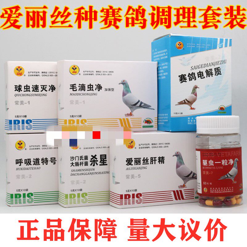 爱丽丝调理套装组合鸽子药种鸽赛鸽调理信鸽药品驱虫鸟常备药用具