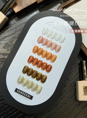 VDN2025年新款甲油胶秋冬珠光细闪美拉德螺纹胶美甲店小套系