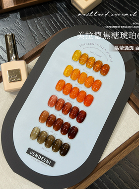 VDN2025年新款甲油胶美拉德风焦糖琥珀冰透玳瑁焦糖秋冬小套系