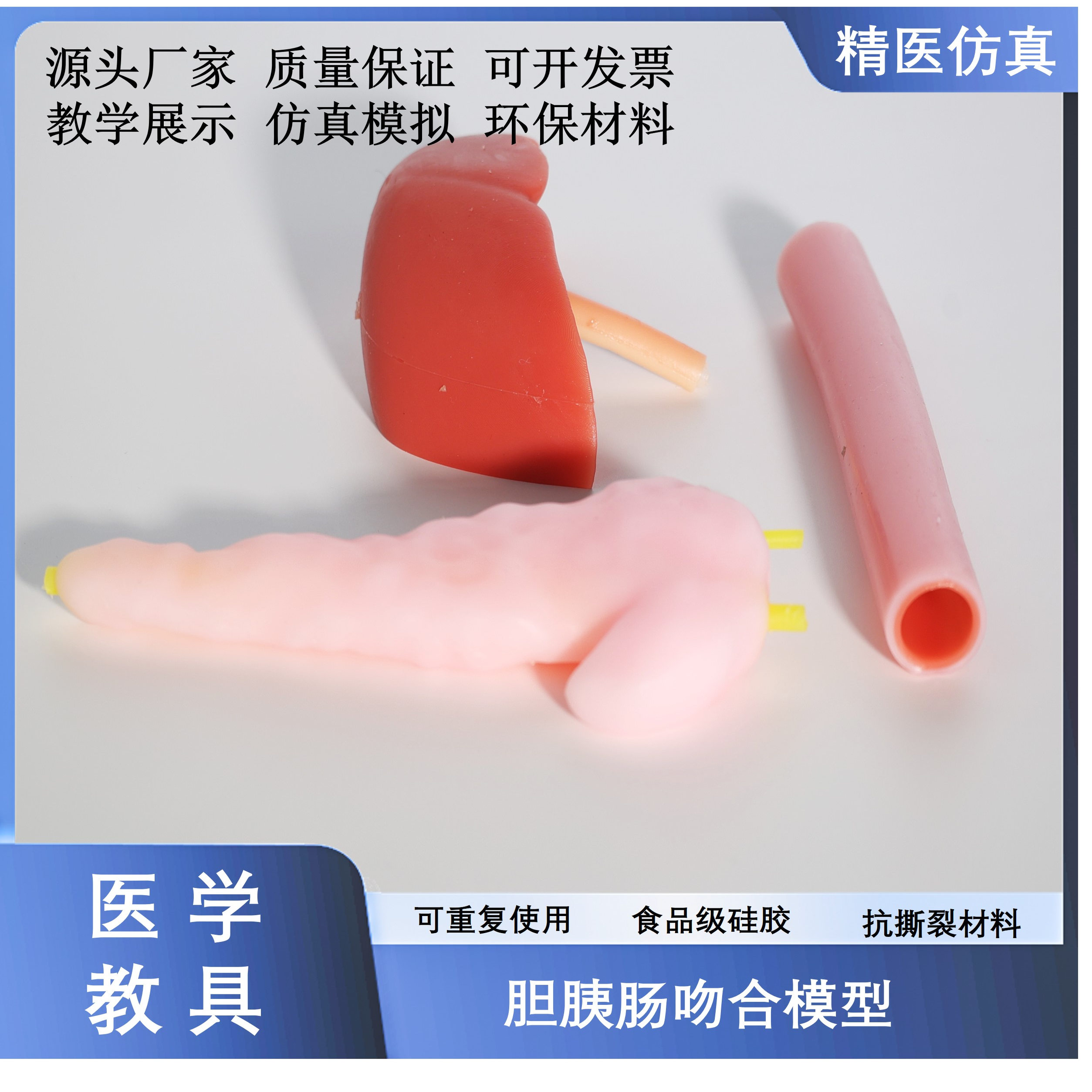 胆肠吻合胰肠吻合练习模型