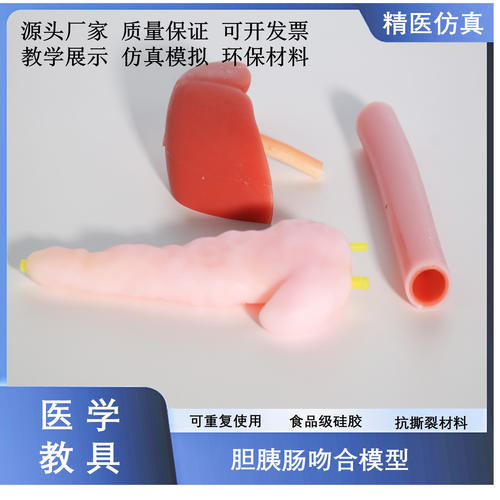 胆肠吻合胰肠吻合练习模型