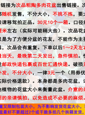 晓煜次品10个元多肉绿植包邮花盆