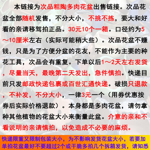 晓煜次品10个元多肉绿植包邮花盆