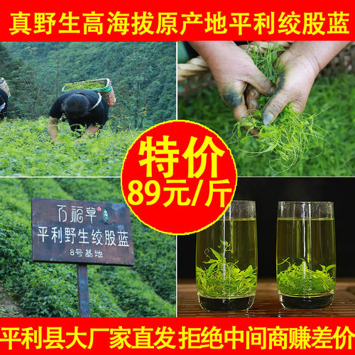 新茶500g野生平利绞股蓝龙须官方特正品级五叶七叶胶股蓝龙须茶