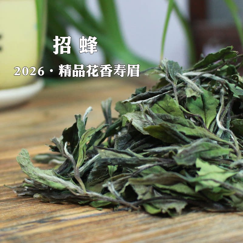 【26招蜂】福鼎白茶新茶正宗管阳老树花香春寿眉高山400g散茶鲜甜