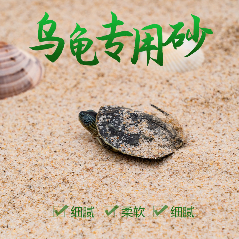 乌龟冬眠孵化用细河沙造景底砂草龟鳄龟巴西龟下蛋用砂子造景