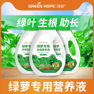 绿萝营养液肥料专用肥盆栽室内植物通用型土培水大叶花肥家用水养