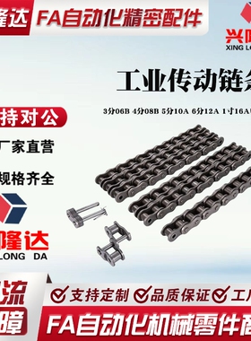 CHEEC链条 CHEED/CHE11/CHE15/CHES25/35/40/50/60/100/80/120