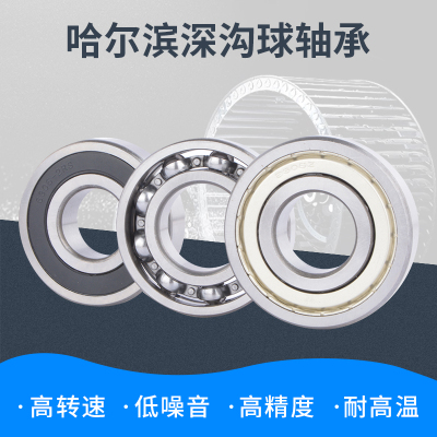 哈尔滨轴承6300 6301 6302 6303 6304 6305 6306 6307 6308ZZ/RS