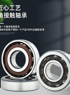 角接触球轴承7303 7304 7305 7306 7307 7308 7309  7310AC/P5