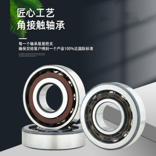 7306 7307 7308 角接触球轴承7303 7310AC 7305 7309 7304