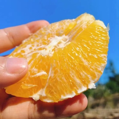 天然无公害赣南应季水果赣南脐橙