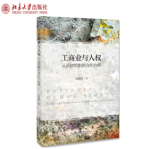工商业与人权——从法律规制到合作治理 北京大学旗舰店正版
