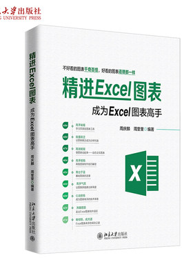 精进Excel图表：成为Excel图表高手 北京大学旗舰店正版